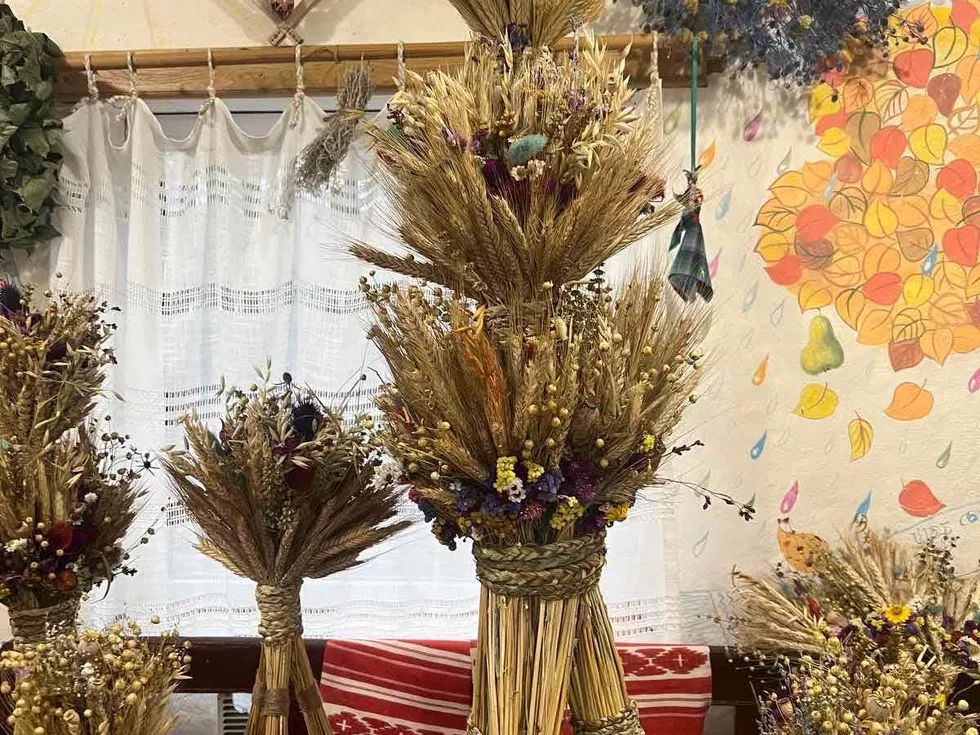 travel program image