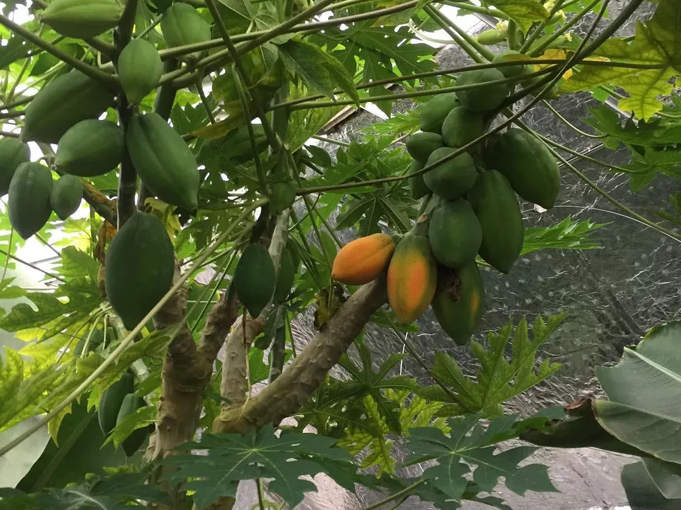 travel program image