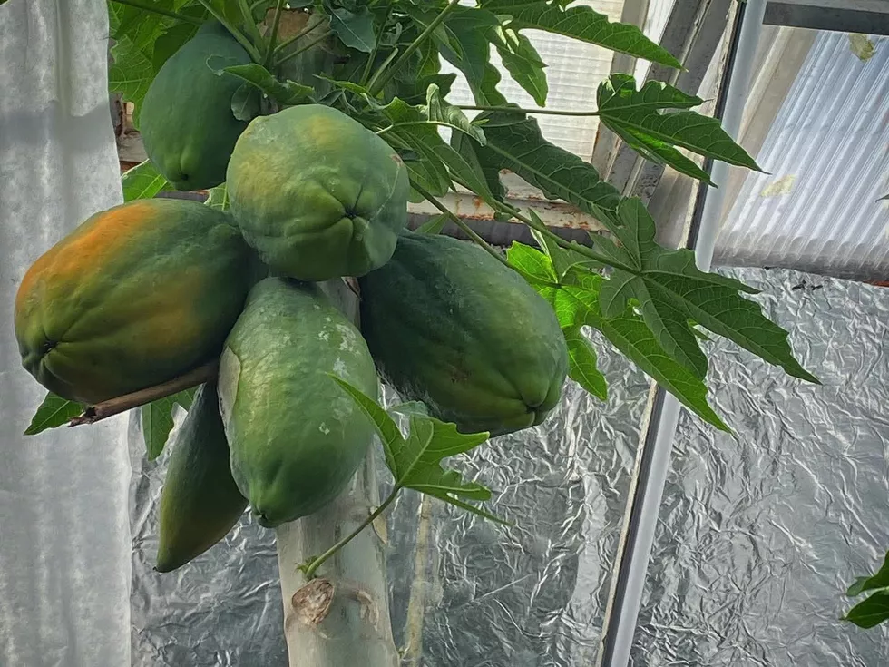 travel program image