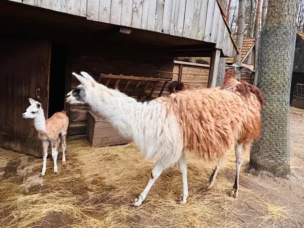 travel program image