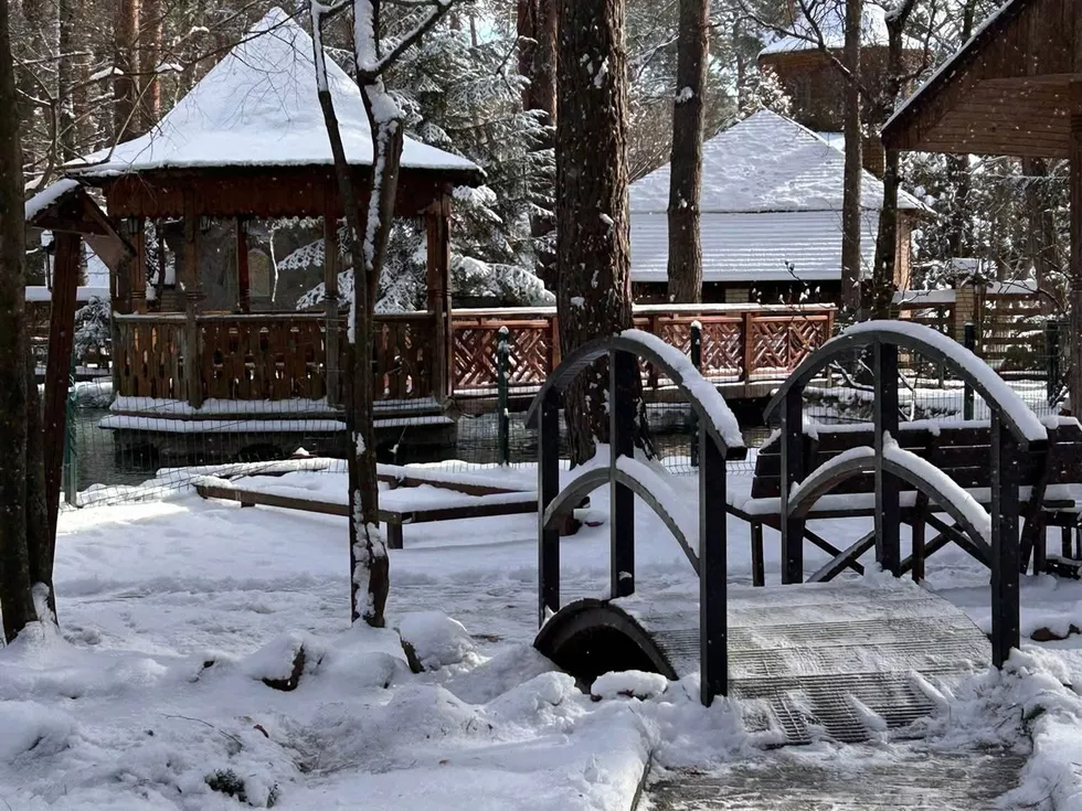 travel program image