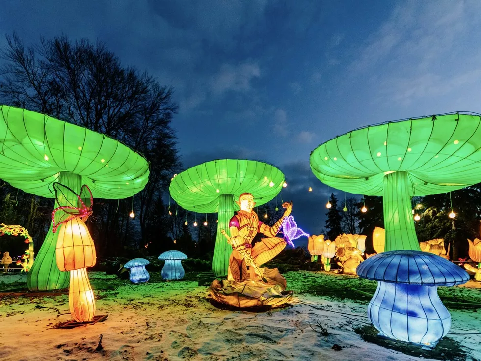 travel program image