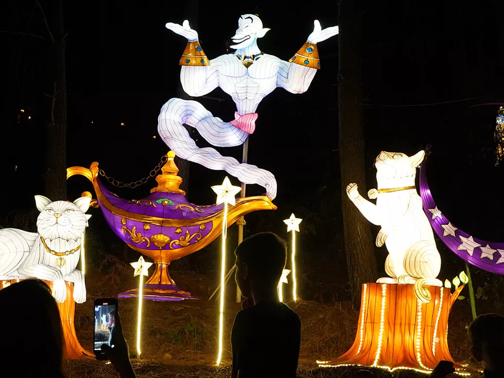 travel program image