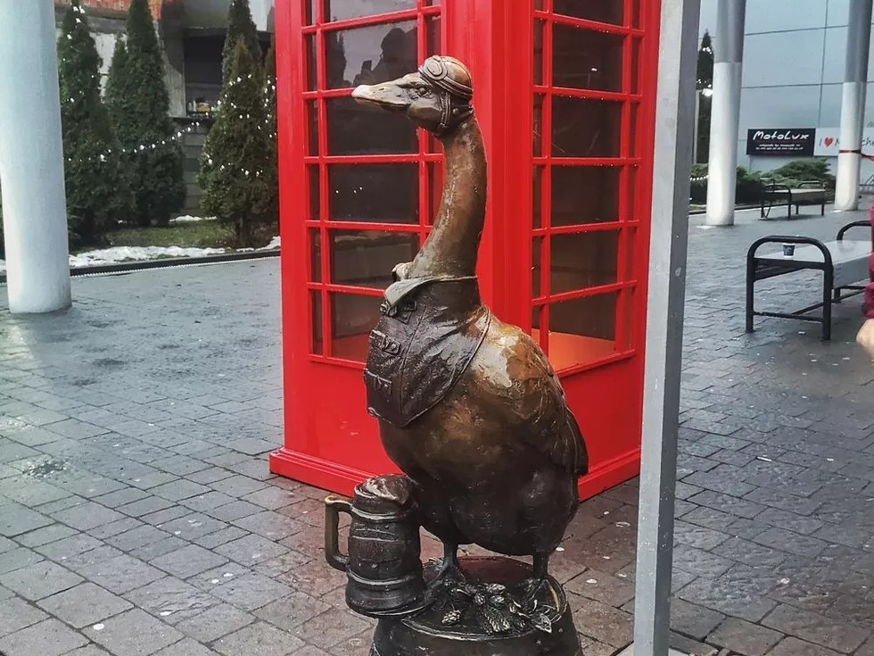 travel program image