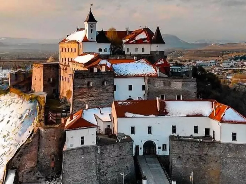 travel program image