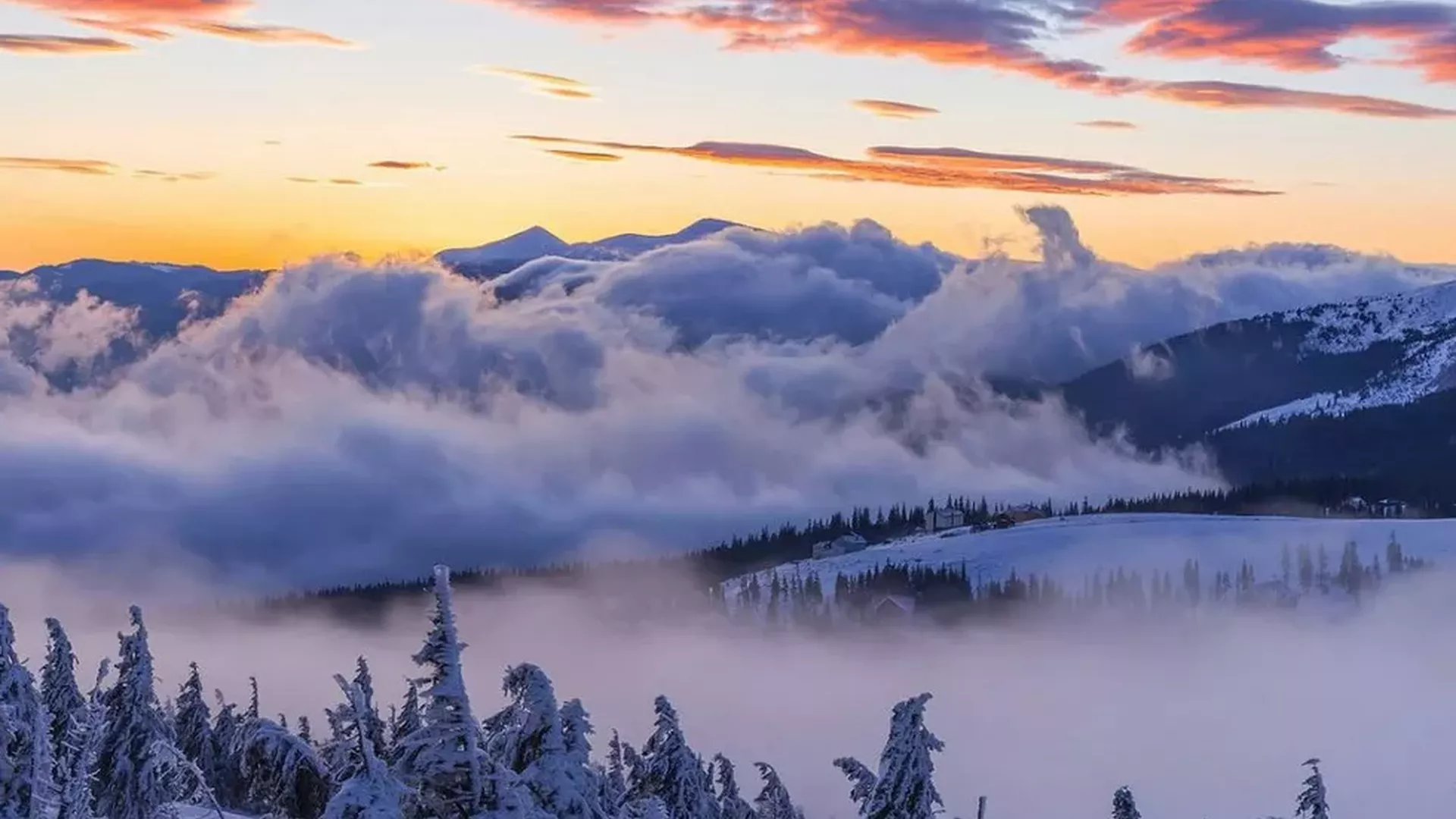 trip inroduction image