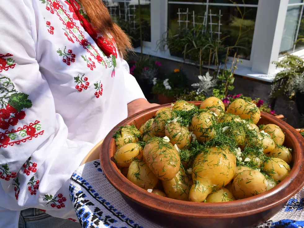 travel program image