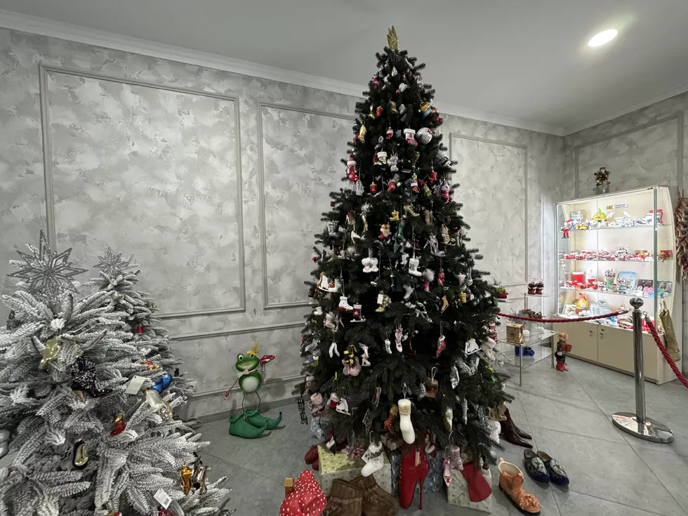 travel program image