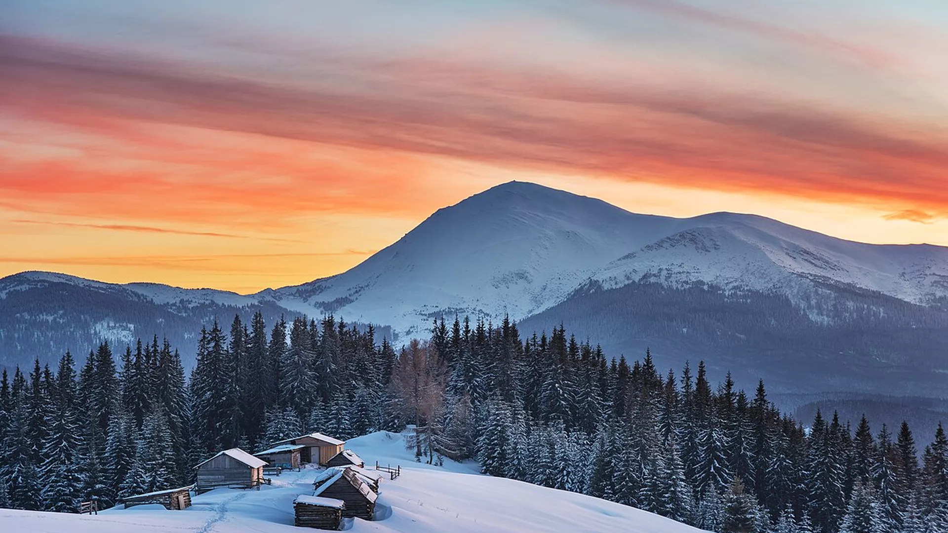 trip inroduction image