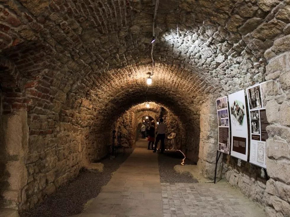 travel program image