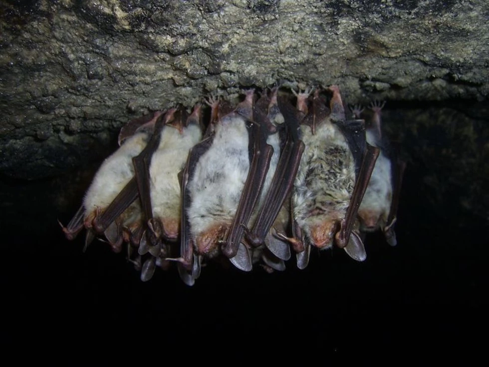 travel program image