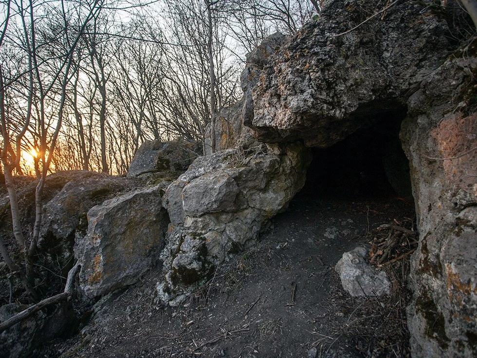 travel program image