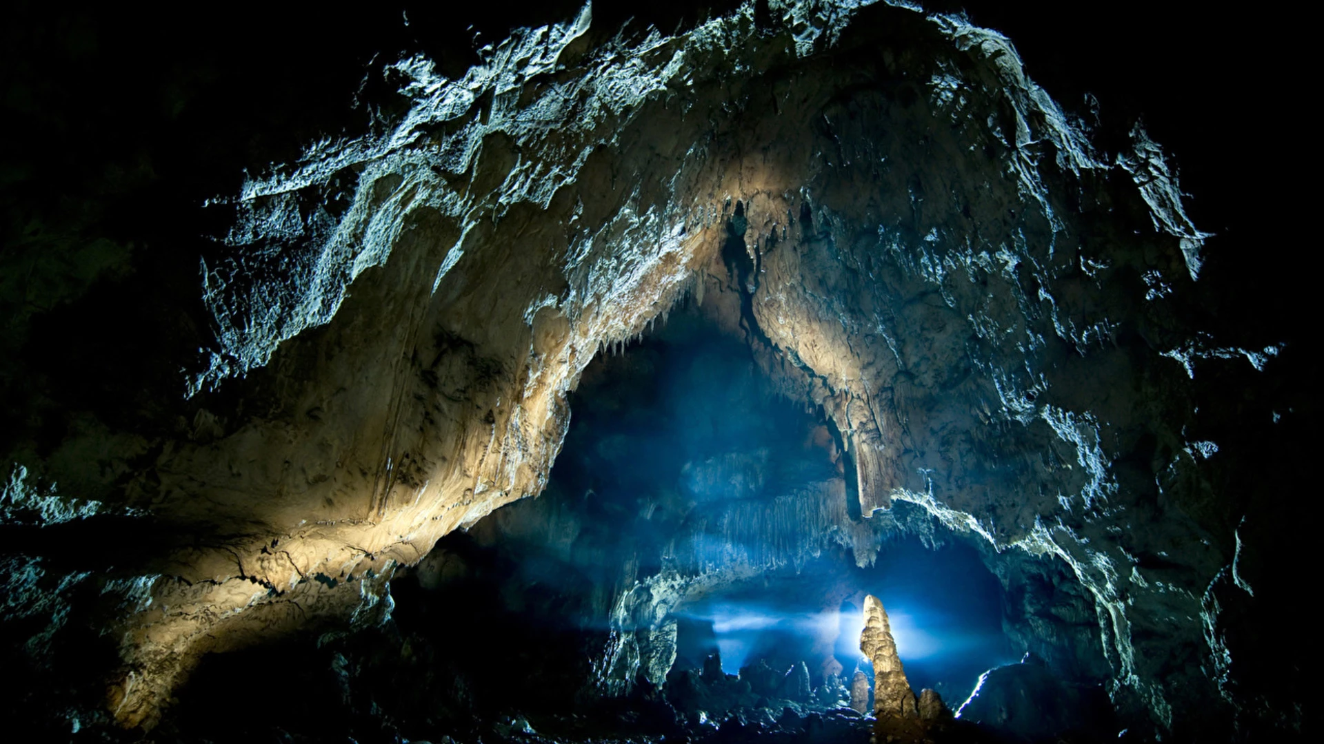 trip inroduction image