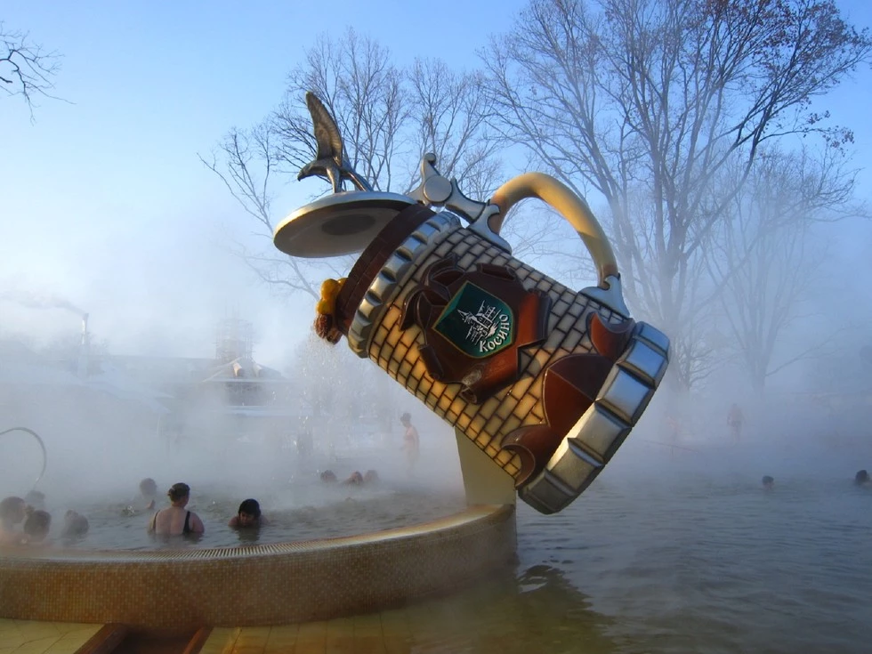 travel program image