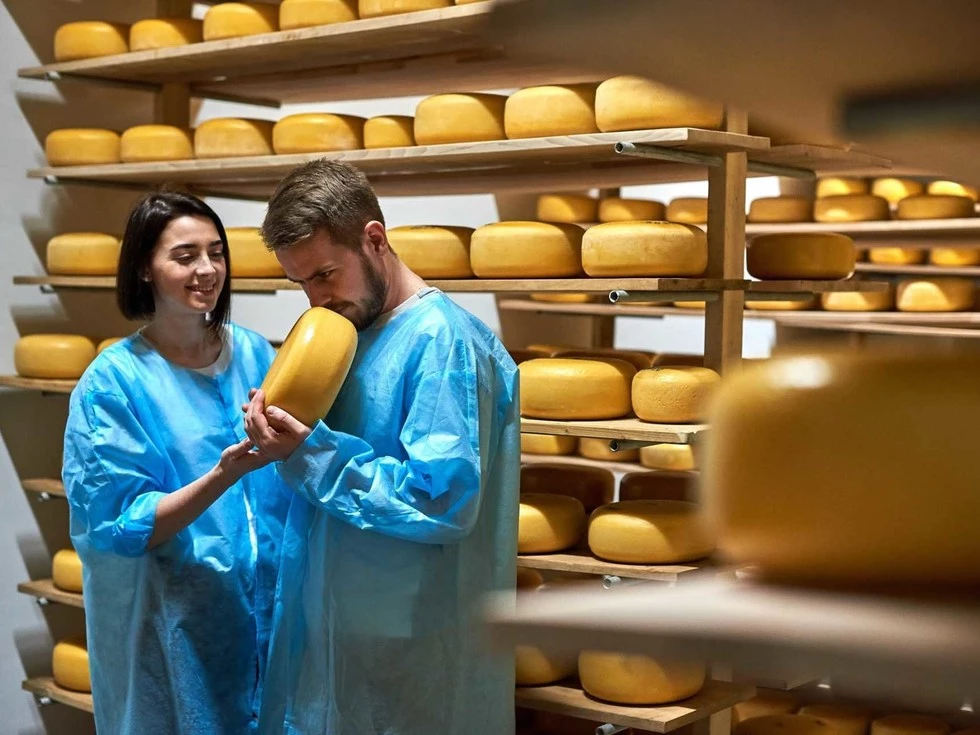 travel program image