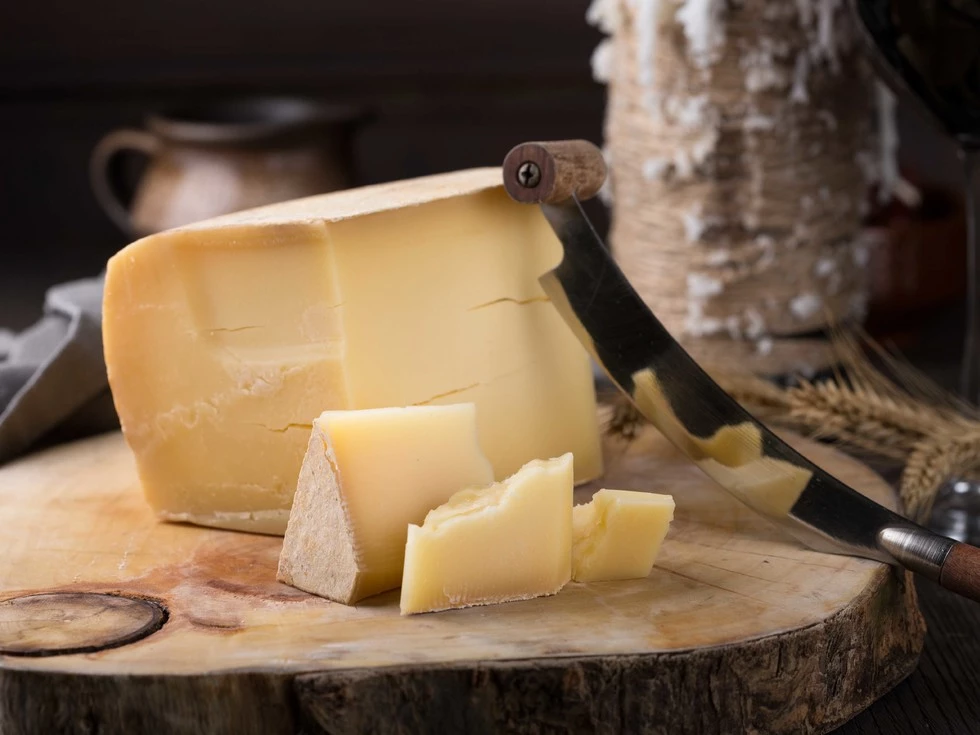 travel program image