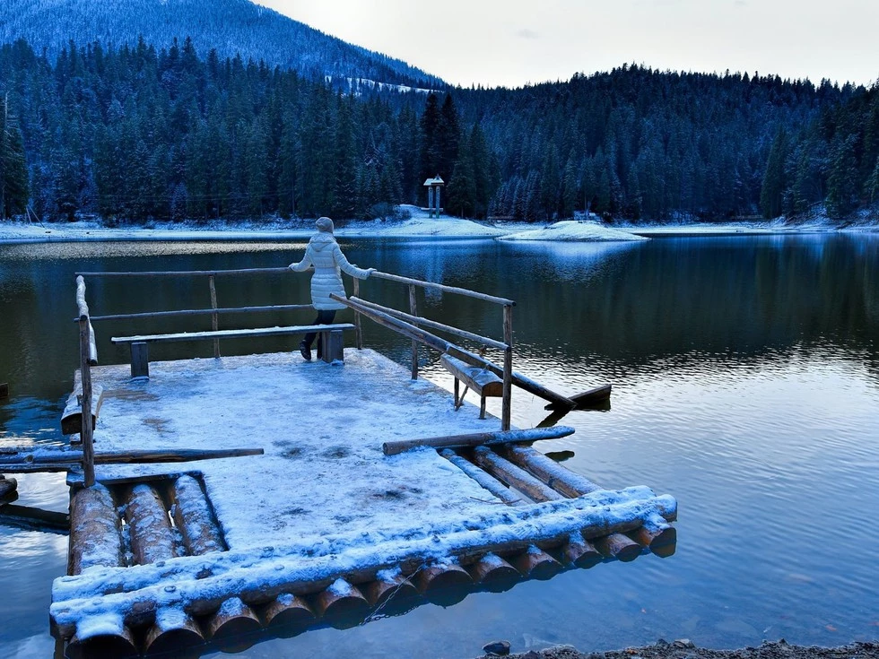 travel program image