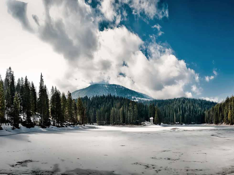 travel program image