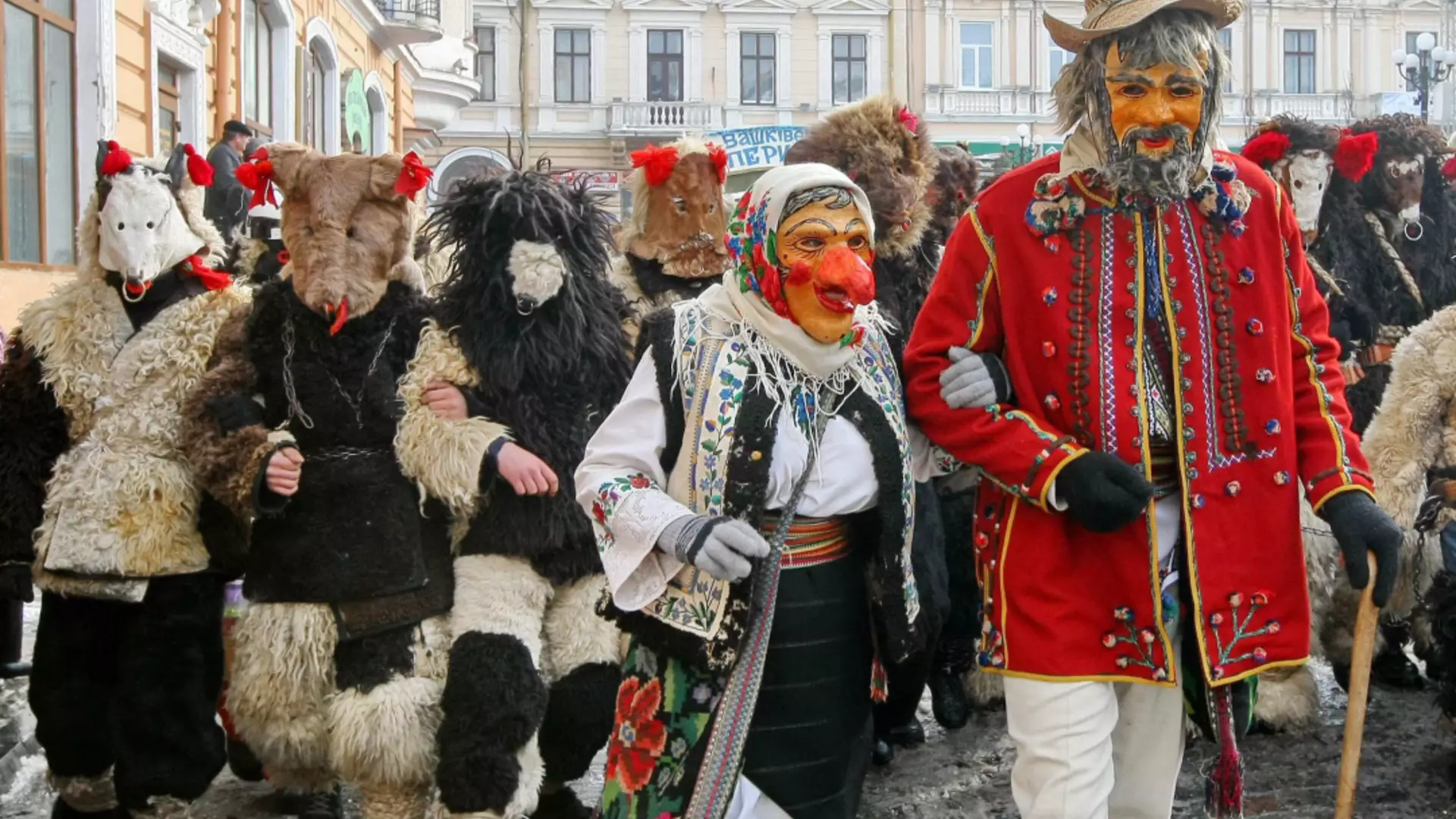 trip inroduction image