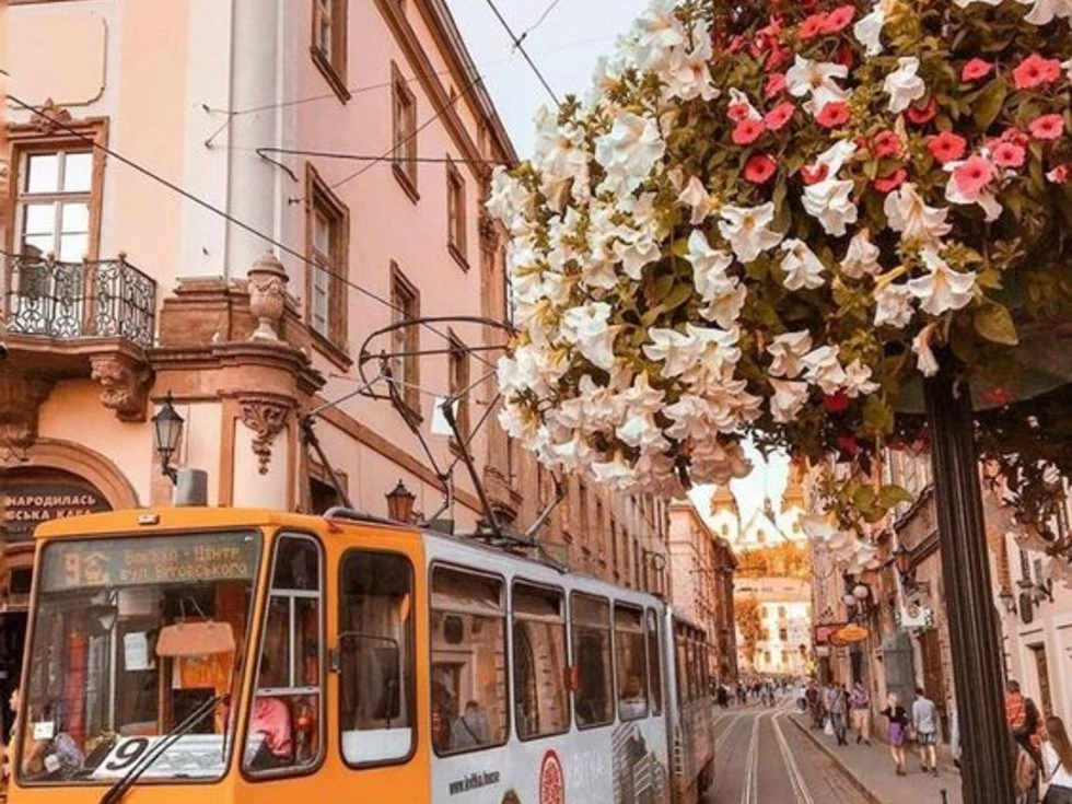 travel program image