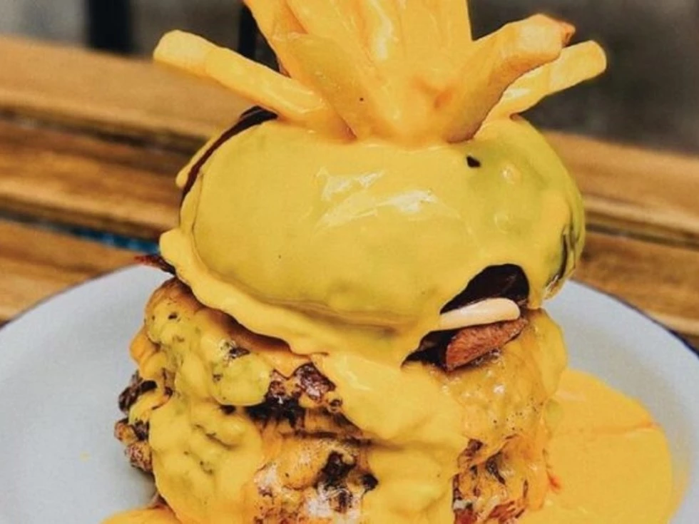 travel program image