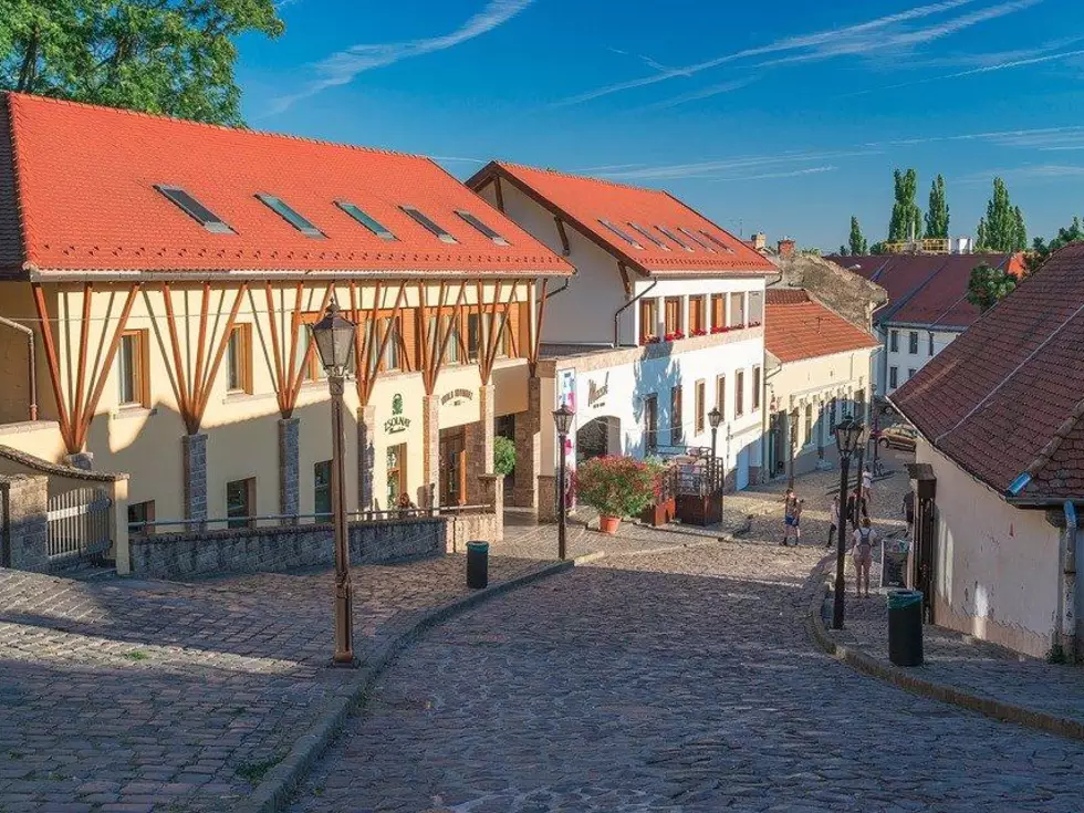 travel program image