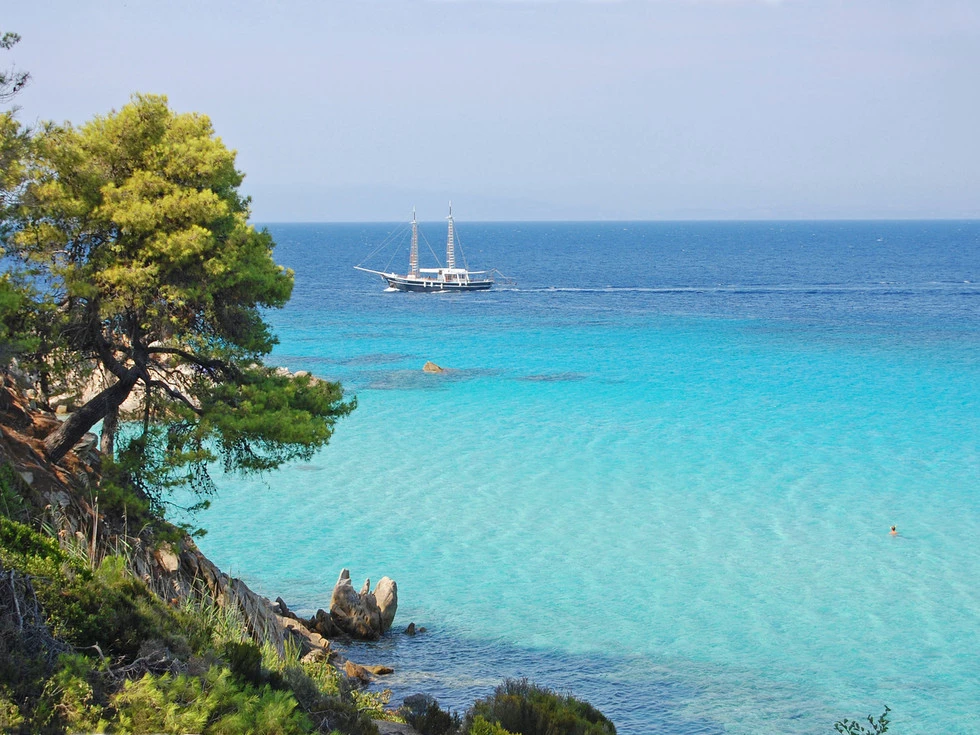 travel program image