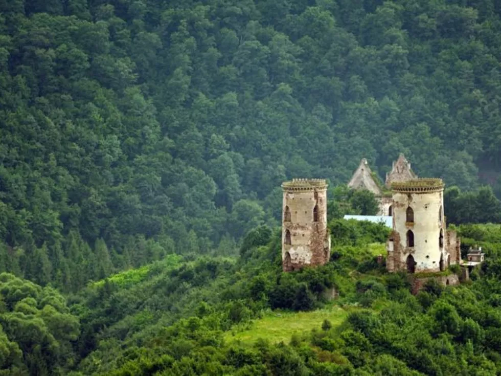 travel program image