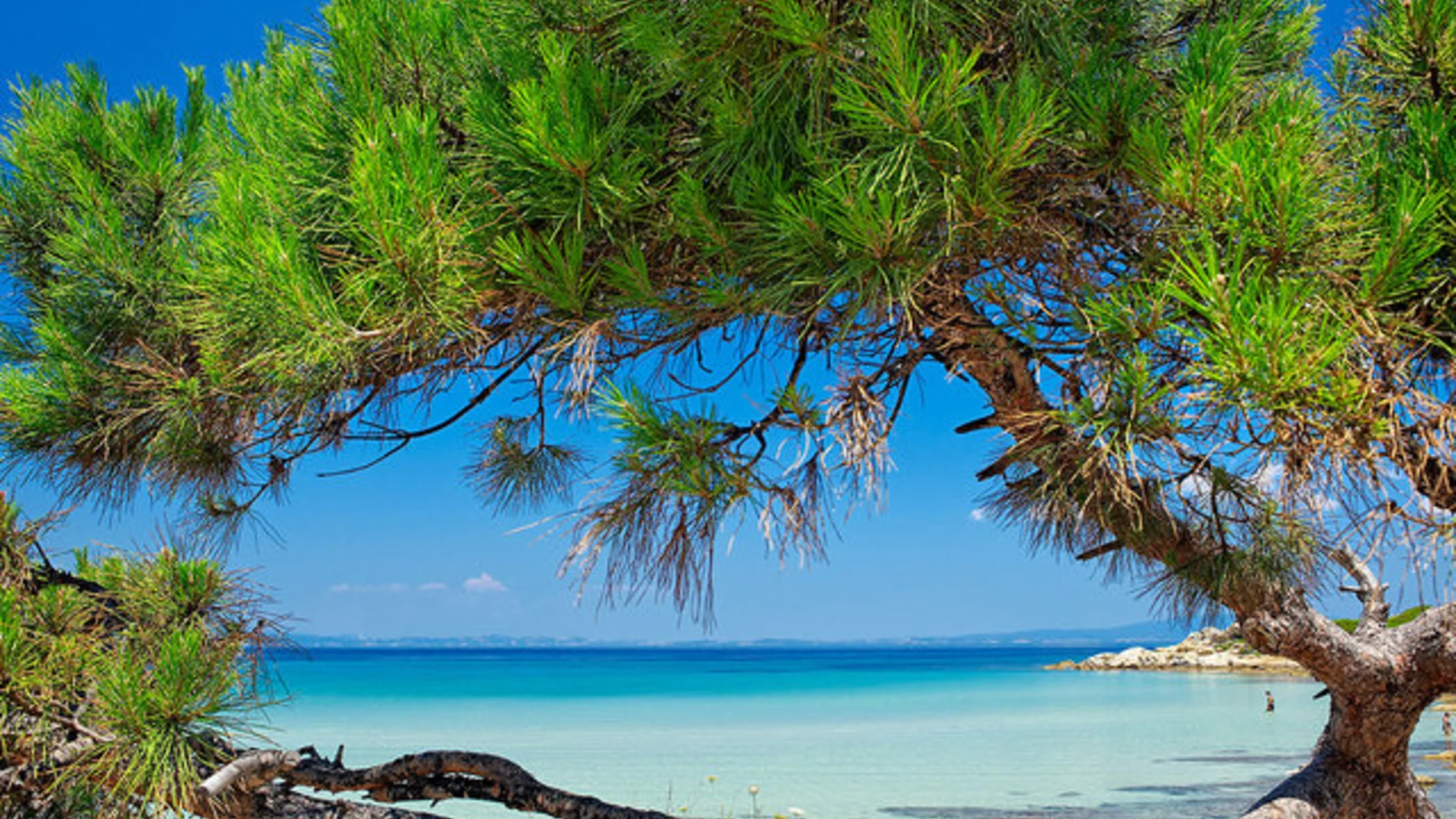 trip inroduction image