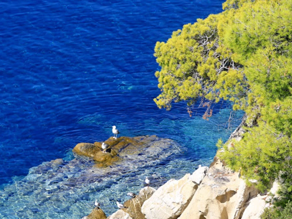 travel program image