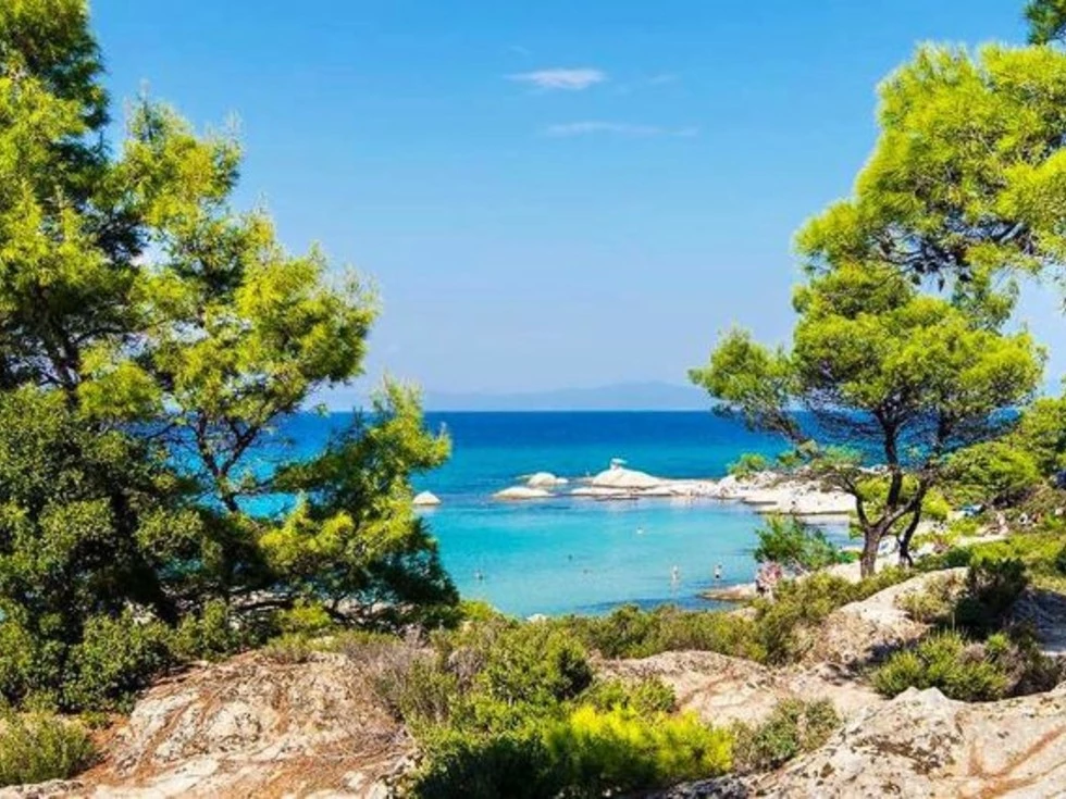 travel program image