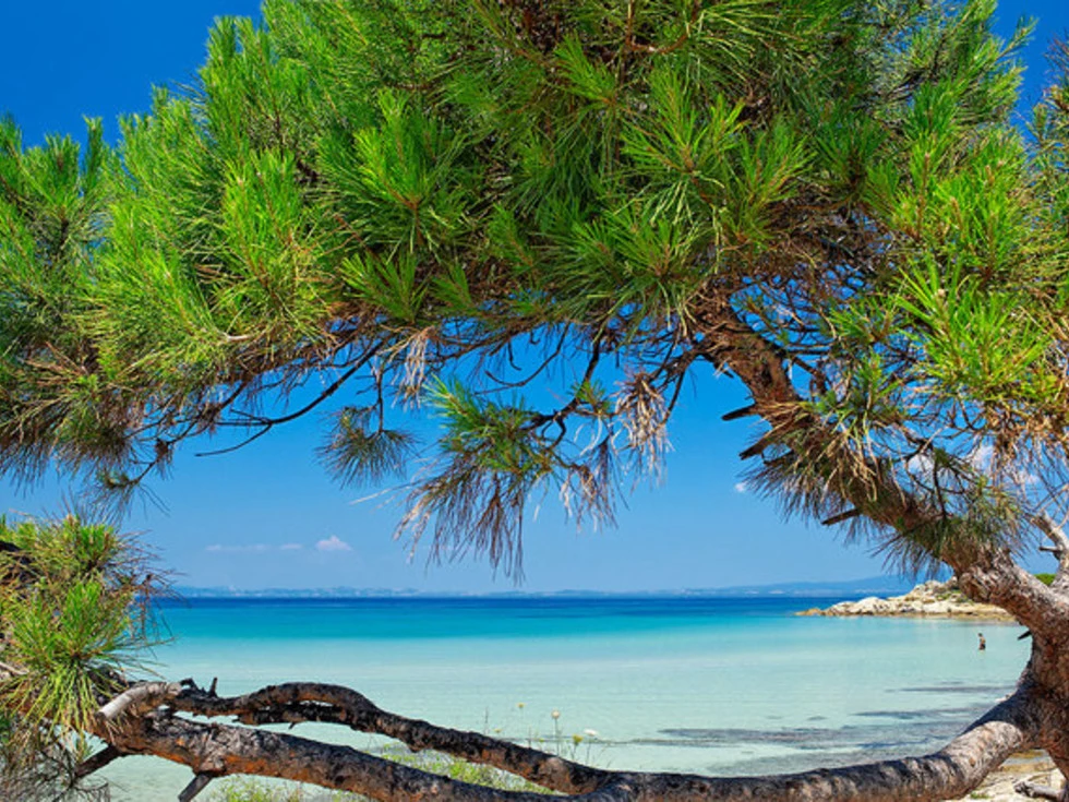 travel program image