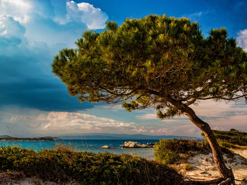 travel program image