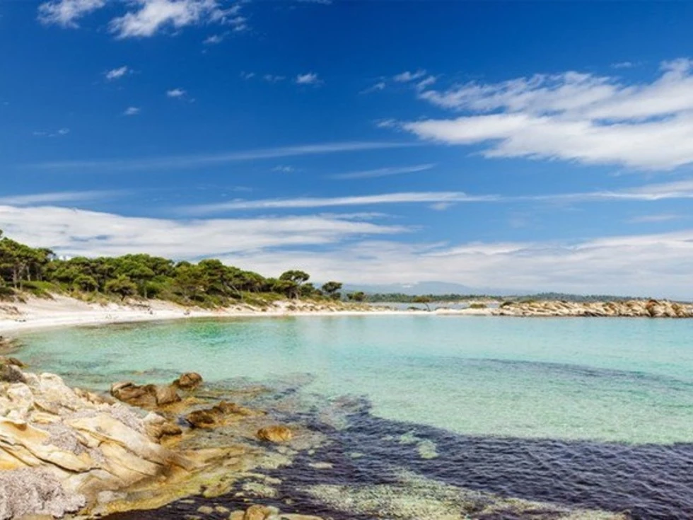 travel program image