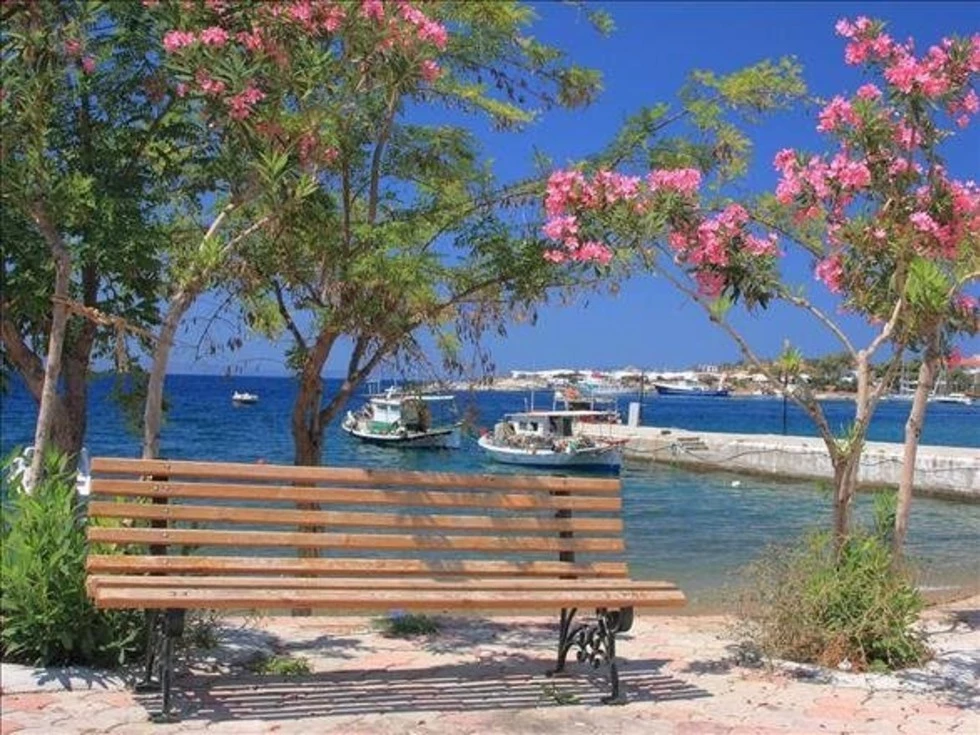 travel program image