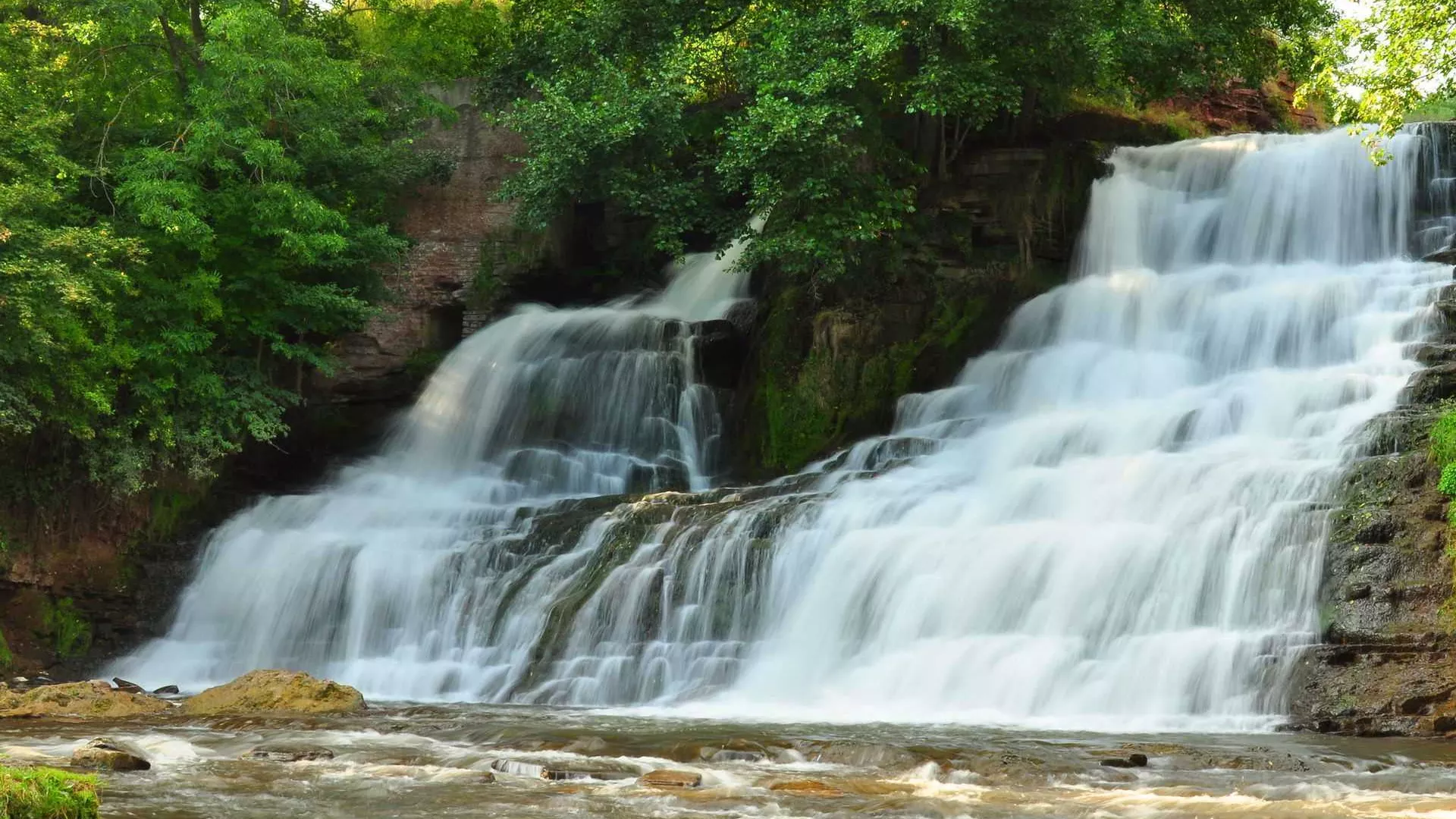 trip inroduction image