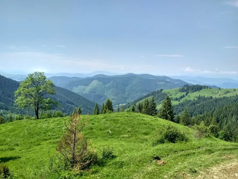 travel program image