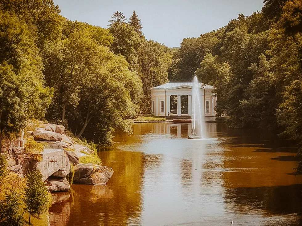 travel program image