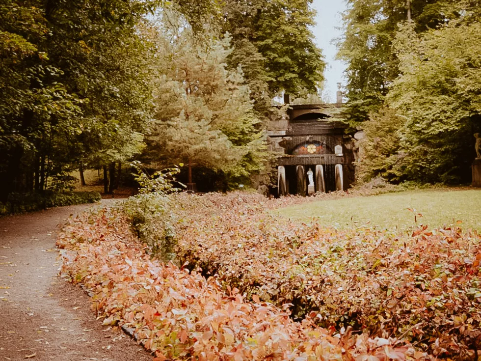 travel program image