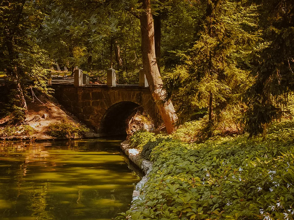 travel program image