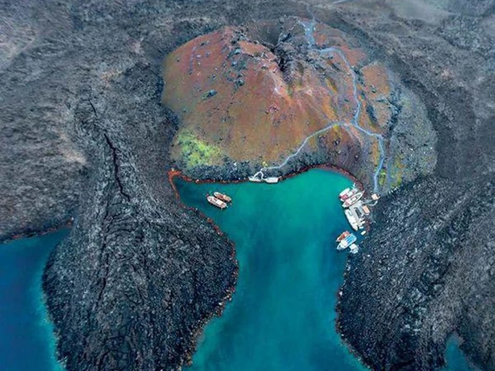 travel program image