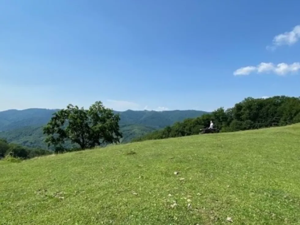 travel program image