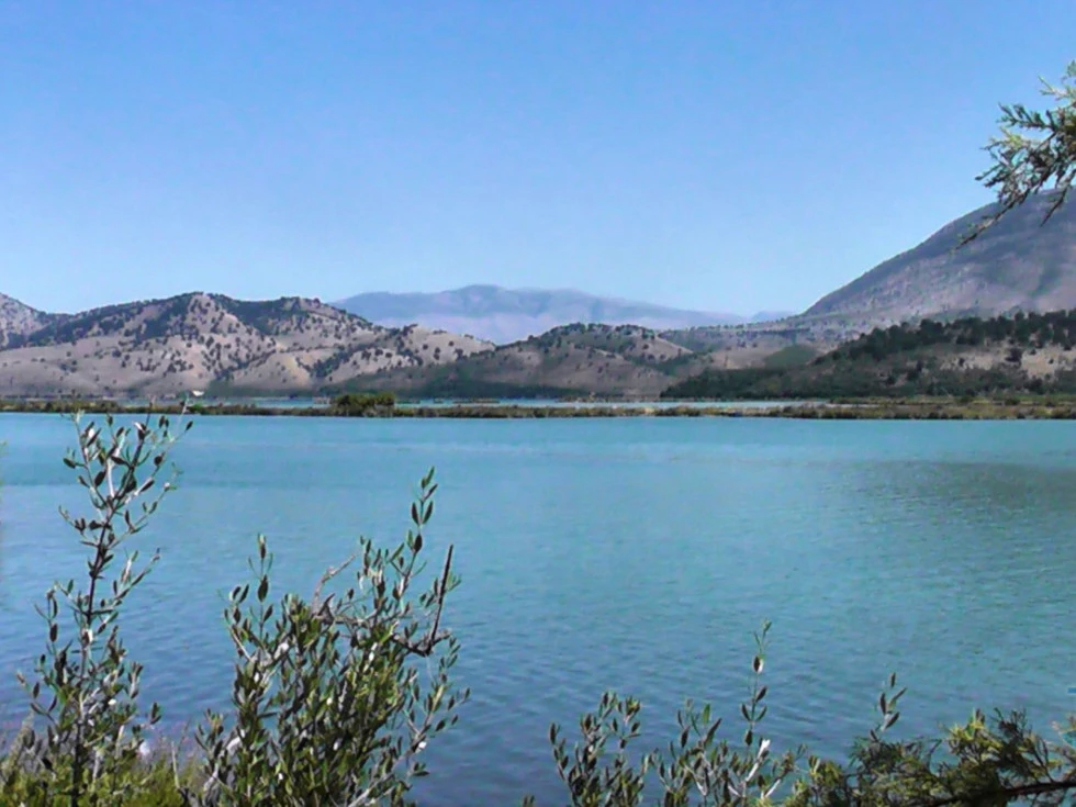 travel program image