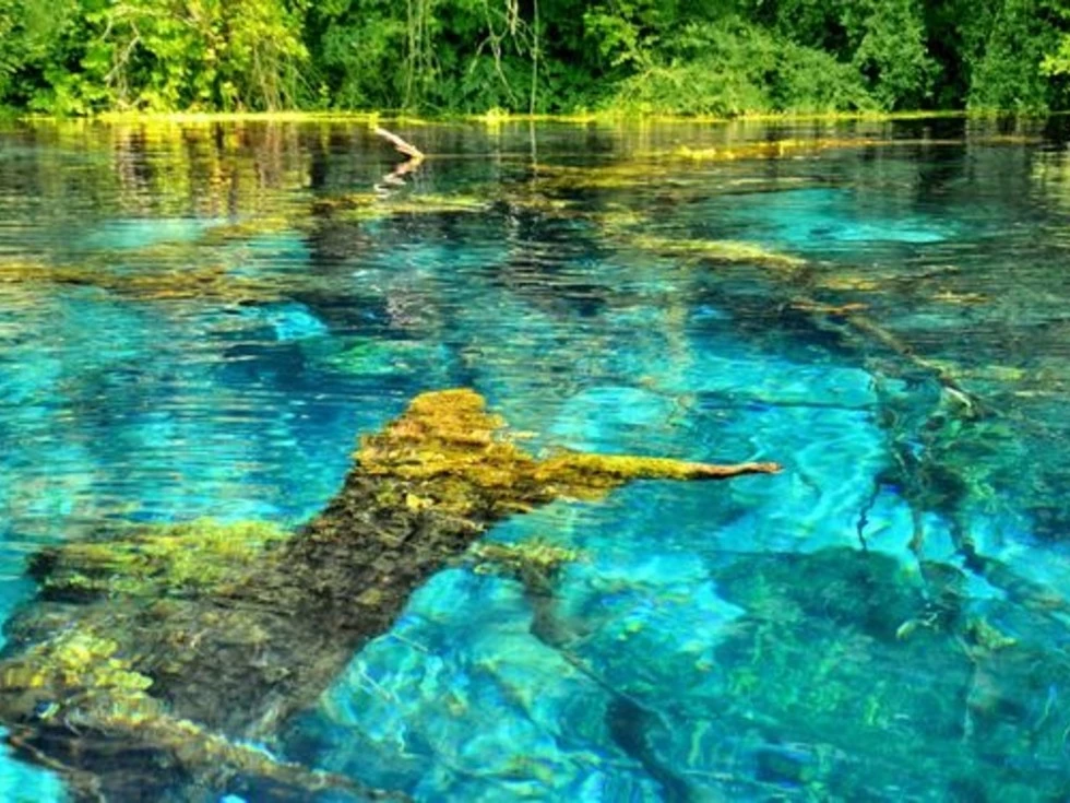 travel program image
