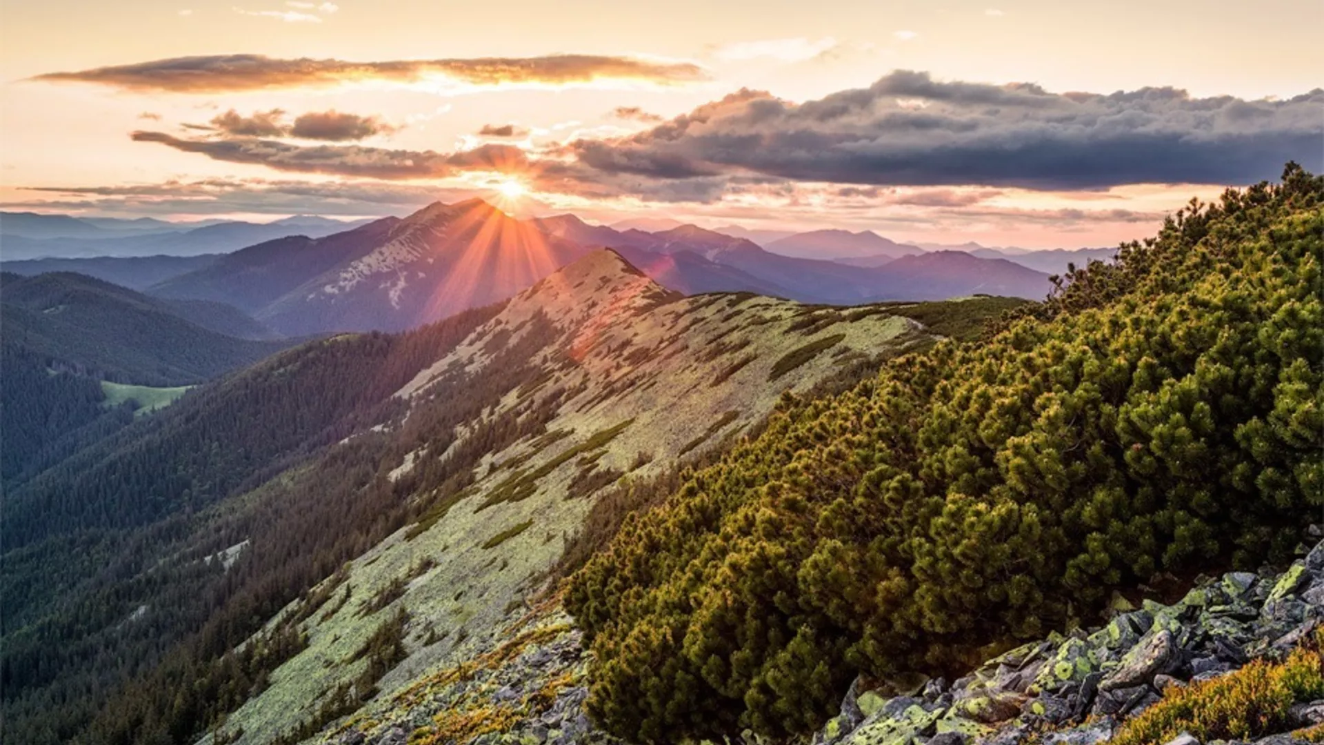 trip inroduction image