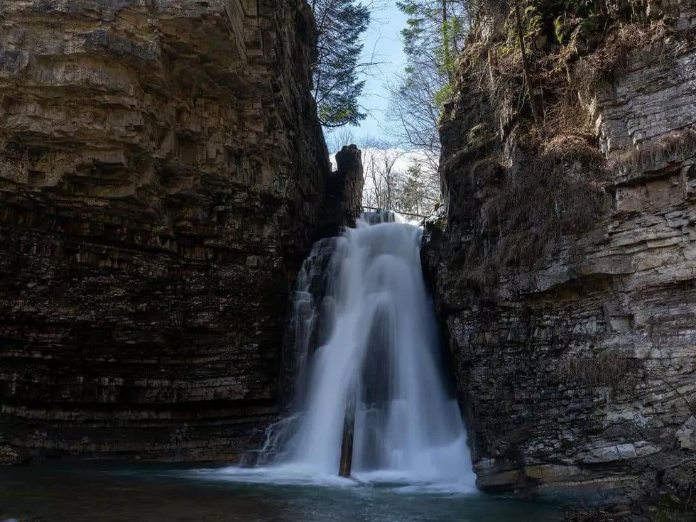 travel program image