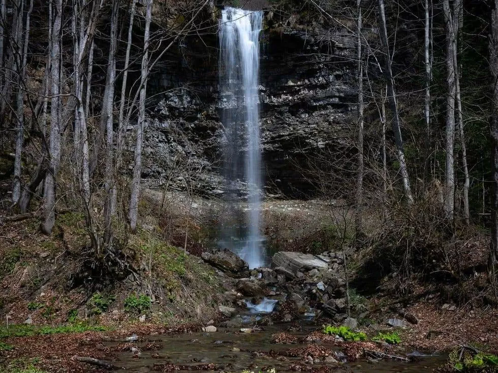 travel program image