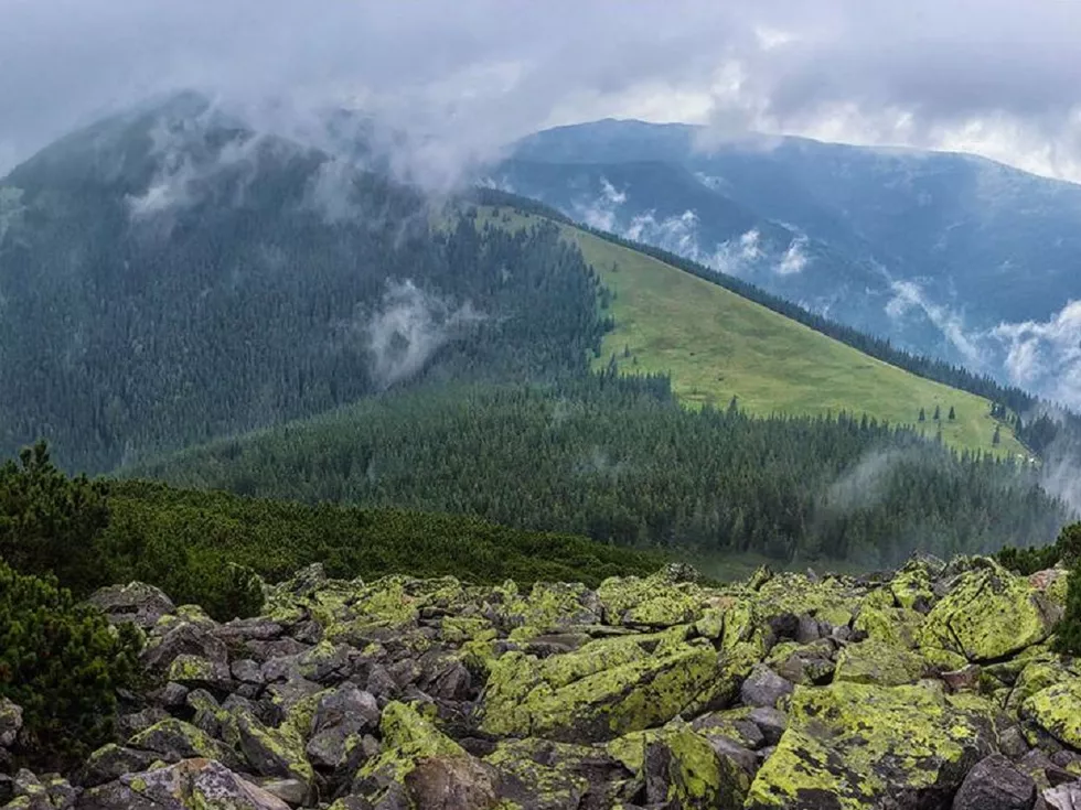 travel program image