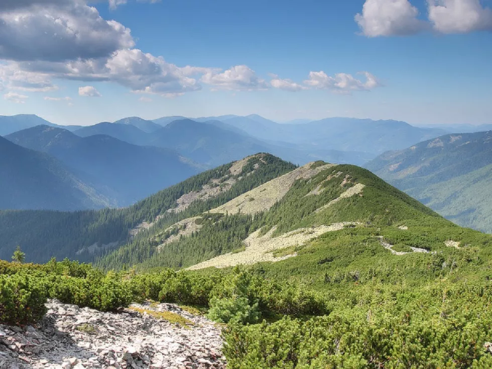 travel program image