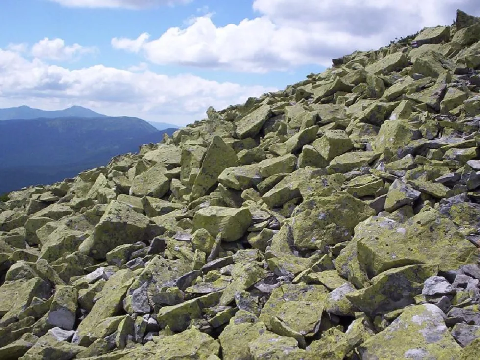 travel program image